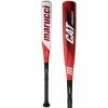 Marucci CAT 8 Composite (-8) USSSA Baseball Bat: MSBCCP8 -Baseball Bats shop 2019 Marucci CAT 8 Composite 8 USSSA Baseball Bat MSBCCP8